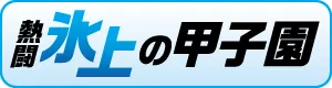 氷上の甲子園